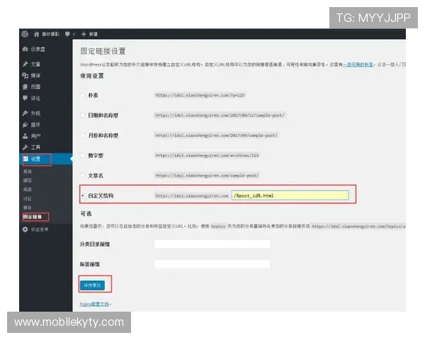 开云体育网站下载教程：从零开始安装到畅享体育赛事的完整指南
